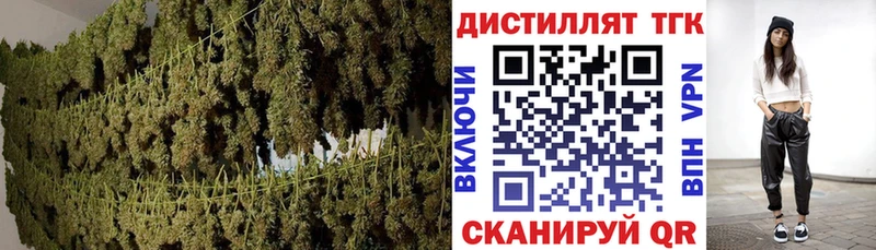 ТГК гашишное масло Новоуральск