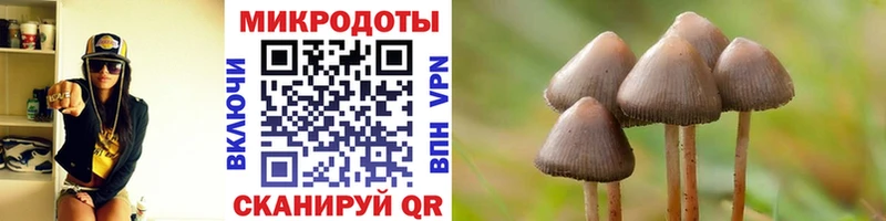 Псилоцибиновые грибы MAGIC MUSHROOMS наркотики Новоуральск